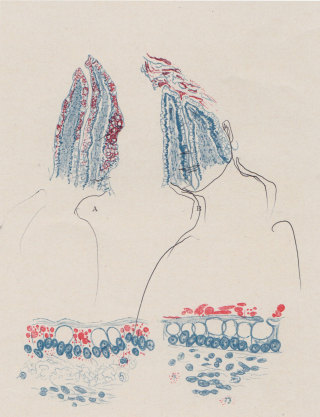 Duelo/Duel, 2014