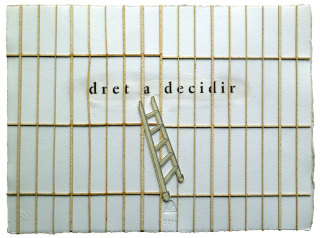 Dret a decidir, 2014