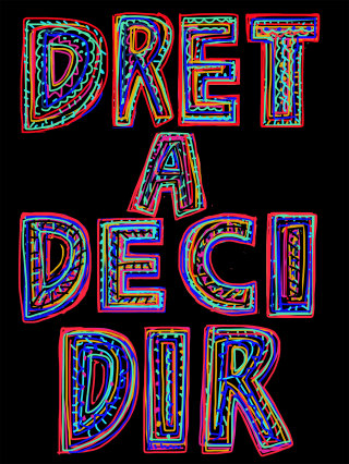 Dret a decidir, 2014