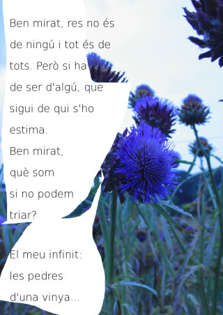 Dret a decidir, 2014