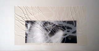 Línies de decurs, 2014