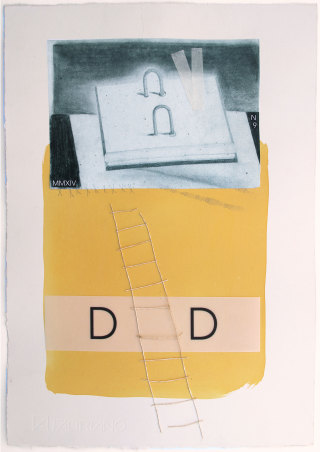 Dret a decidir, 2014